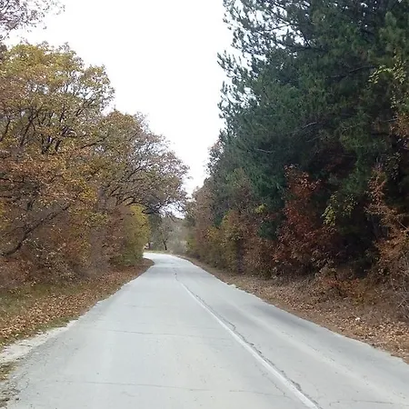 ゲストハウス Srebren Rural House Osenovo