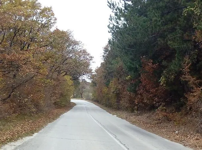 Къща за гости Srebren Rural House Осеново